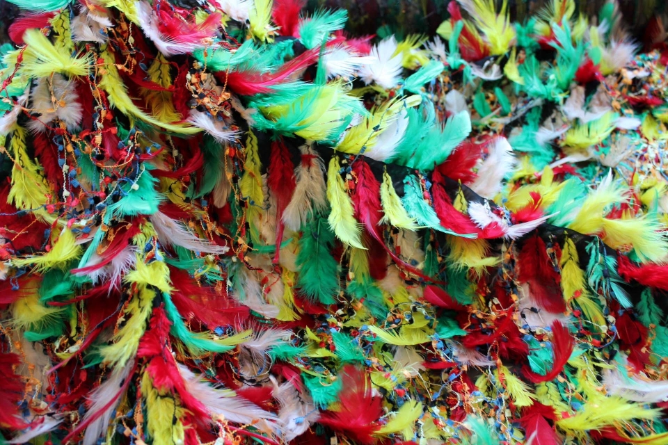 Multi Colour Feathers and Chenille Fringe on Black Silk Chiffon