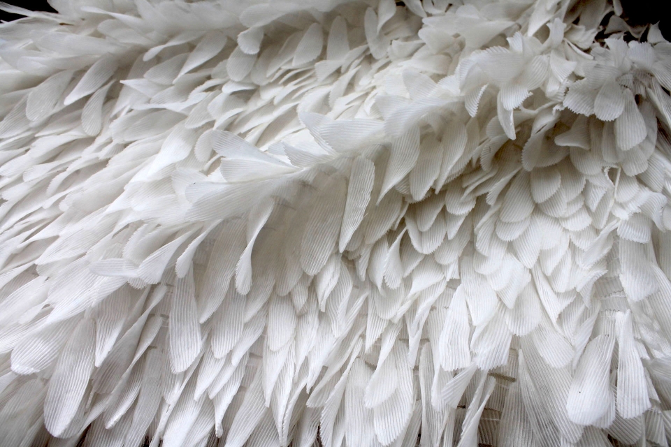 Pleated Feather Shapes on Tulle - Ivory