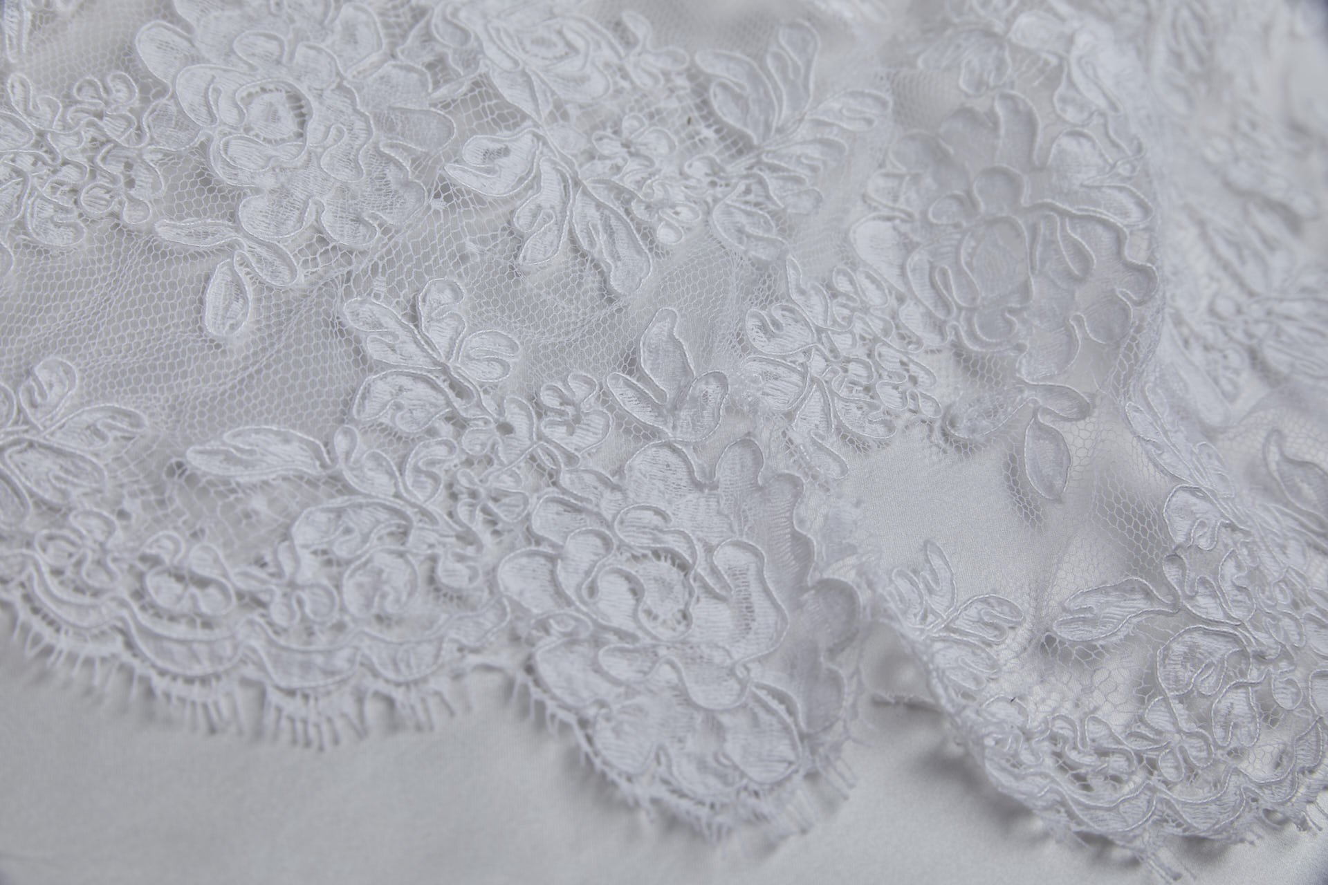 Corded Lace for the bride